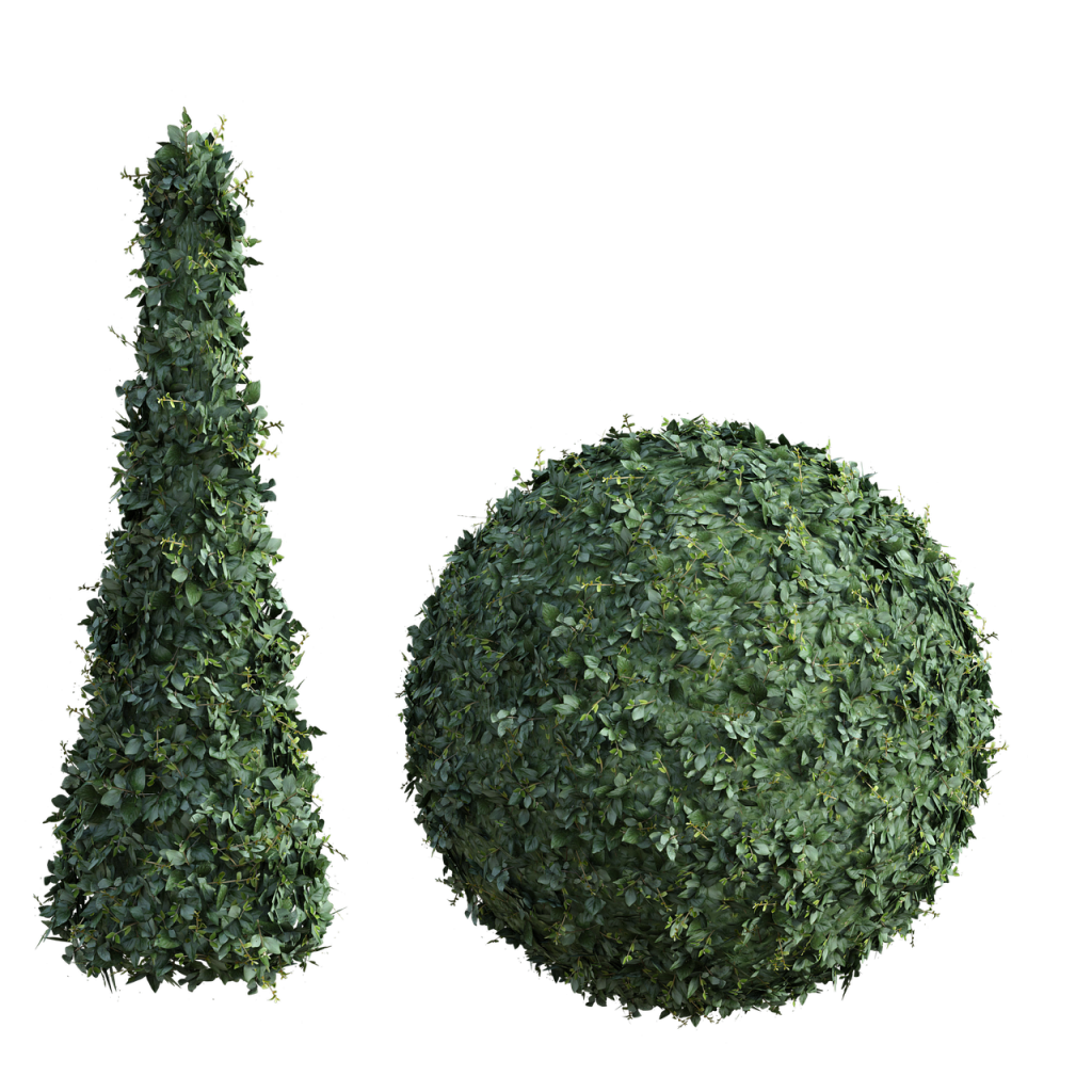topiary, bush, tall-4614856.jpg